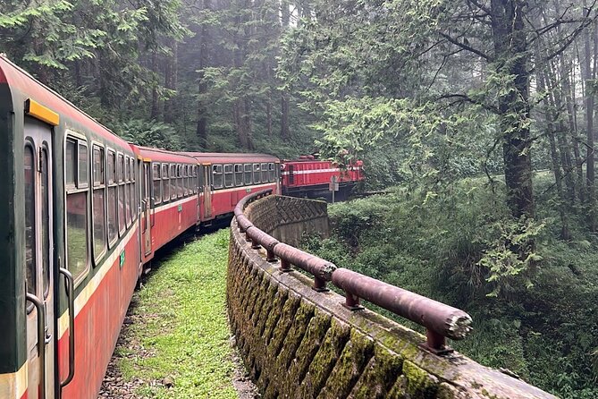 Alishan Day Tour from Chiayi (Incl. Park Entrance) - Four hours among Alishan’s ancient trees