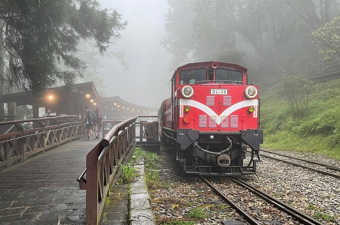 Alishan Day Tour from Chiayi (Incl. Park Entrance) - What the drive and vehicle are really like