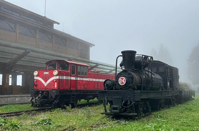 Alishan Day Tour from Chiayi (Incl. Park Entrance) - Lunch, the Alishan train, and extra costs