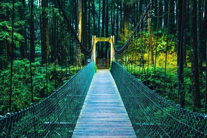 Alishan Join In Day Tour from Taichung (Incl. Park Entrance) - Key Points To Know Before You Book