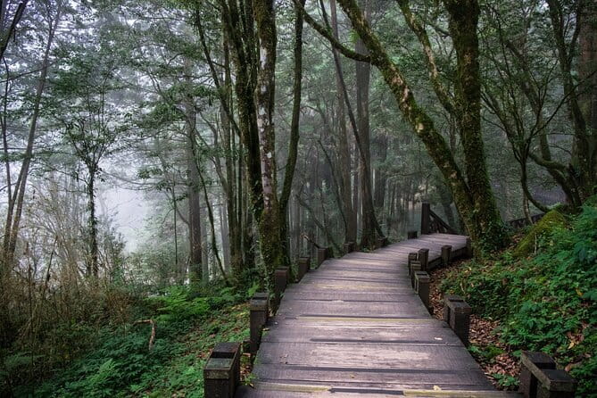 Alishan Join In Day Tour from Taichung (Incl. Park Entrance) - Chukou Visitor Center: A Short Pause On A Long Road