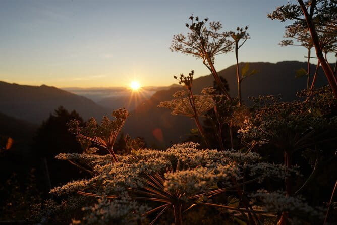 Alishan One Day Tour from Taichung - Weather, clothing, and practical expectations