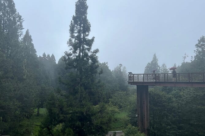 Alishan, Sun Moon Lake, Taichung Three Days Tour from Taipei - Day one: From Taipei to Fenqihu and Alishan