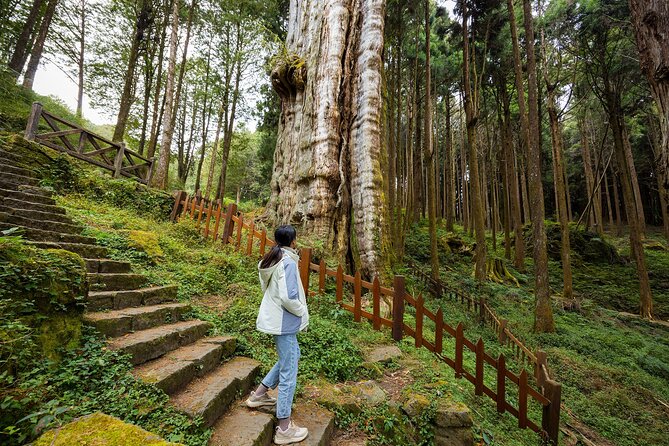 Alishan Taiwan 2 Day Private Tour from Taipei - Sister Lake, a quiet pause among the trees