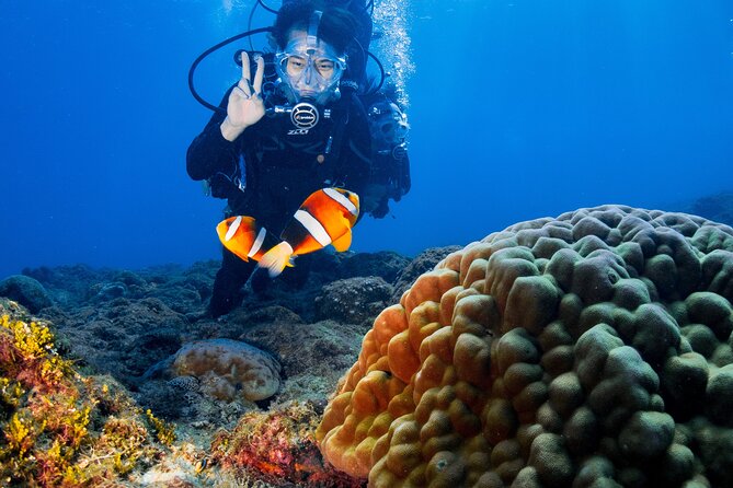 Discover Scuba Diving With Sea Turtles – Xiaoliuqiu, Taiwan - Why Xiaoliuqiu is a strong place for a first underwater outing