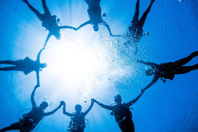 Discover Scuba Diving With Sea Turtles – Xiaoliuqiu, Taiwan - What the $83 price includes