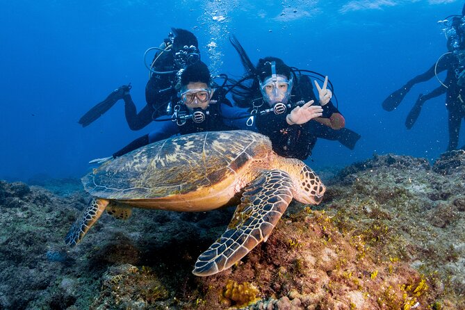 Discover Scuba Diving With Sea Turtles – Xiaoliuqiu, Taiwan - What to bring and how to prepare