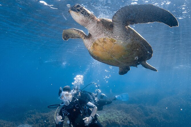 Discover Scuba Diving With Sea Turtles – Xiaoliuqiu, Taiwan - What happens during the two-hour Xiaoliuqiu session