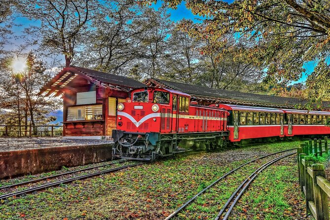 Exclusive 3-Day Sun Moon Lake & Alishan Private Tour - Day two: Chiayi railway and Alishan’s old trees