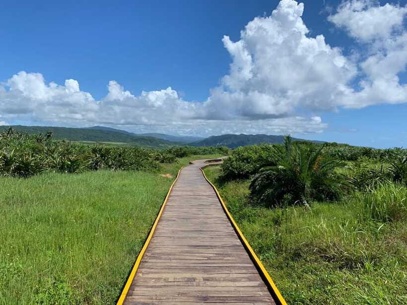 From Kaohsiung: Kenting & Ocean Coast Private Day Tour - Taiwan’s southernmost point is a quick photo stop