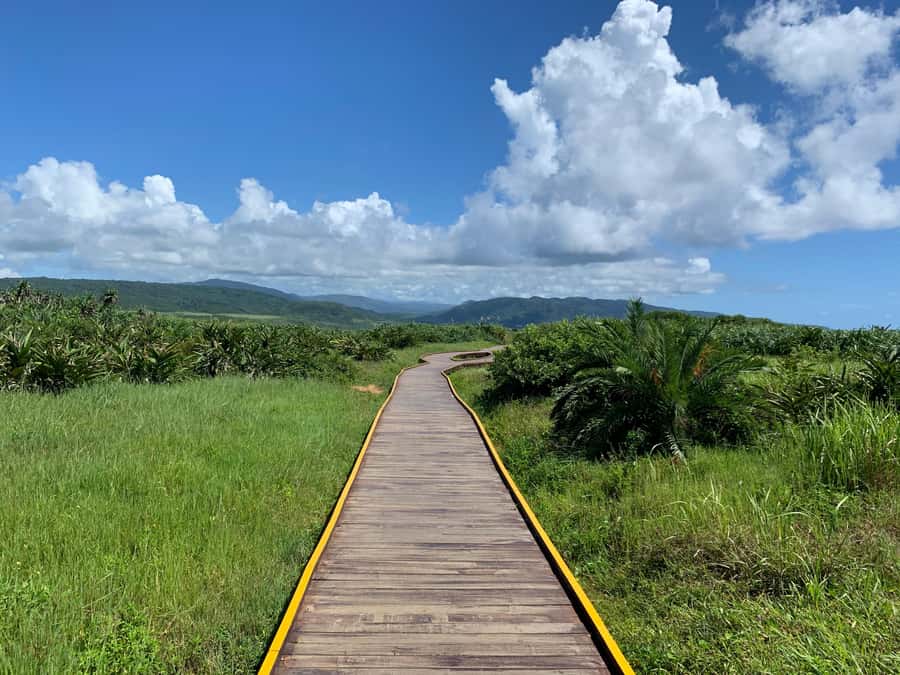 From Kaohsiung: Kenting & Ocean Coast Private Day Tour - The museum sets the tone for the first 90 minutes