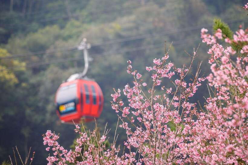 From Taipei: 1 Day Sun Moon Lake Private Tour - What the guides add to the day