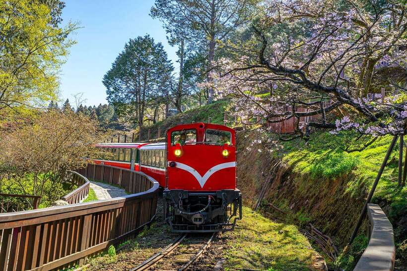From Taipei City: 3-Day Sun Moon Lake & Alishan Private Tour - What the $1,130 price really covers