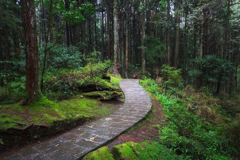 From Taipei City: 3-Day Sun Moon Lake & Alishan Private Tour - Shuishe Pier and the lake cruise
