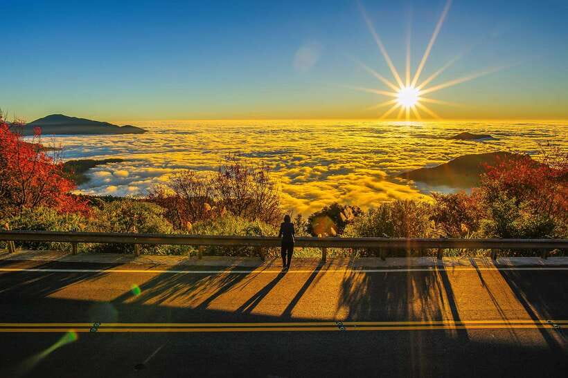 From Taipei City: 3-Day Sun Moon Lake & Alishan Private Tour - Day one: reaching Sun Moon Lake