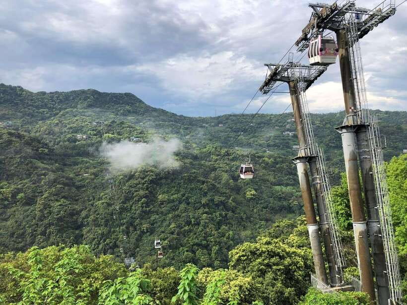 From Taipei: Pinglin Tea Culture and Maokong Guided Day Tour - Key details that make this day distinctive
