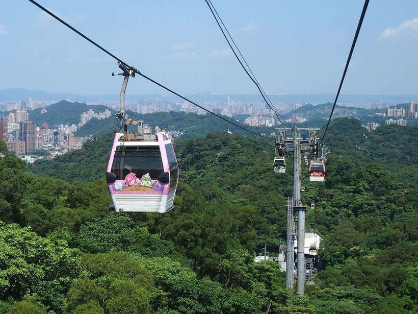 From Taipei: Pinglin Tea Culture and Maokong Guided Day Tour - Guides, vehicles, and the pace of the day