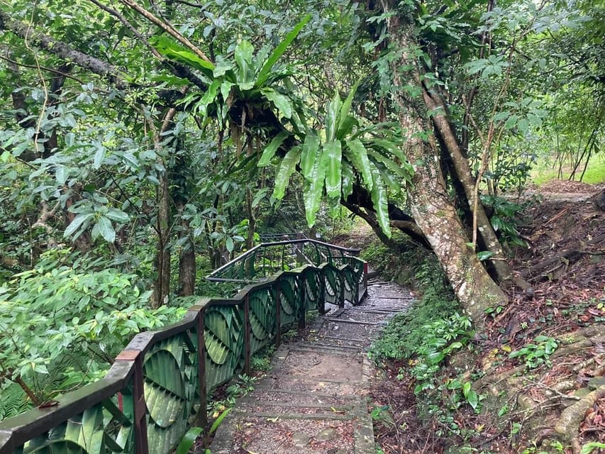 From Taipei: Pinglin Tea Culture and Maokong Guided Day Tour - Tea Promotion Center and lunch in Maokong