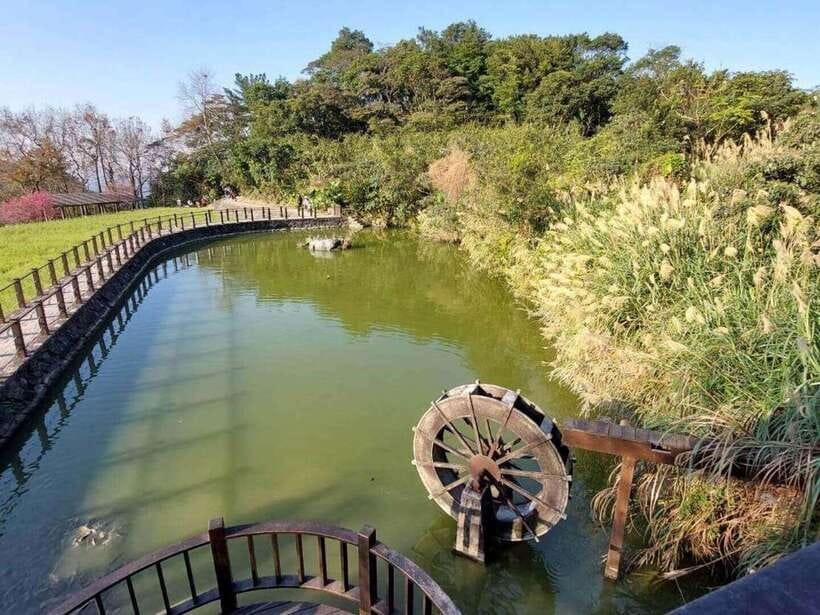 From Taipei: Pinglin Tea Culture and Maokong Guided Day Tour - Thousand Island Lake in Shiding