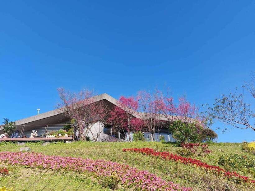 From Taipei: Pinglin Tea Culture and Maokong Guided Day Tour - Bagua Tea Plantation and the geometry of the fields