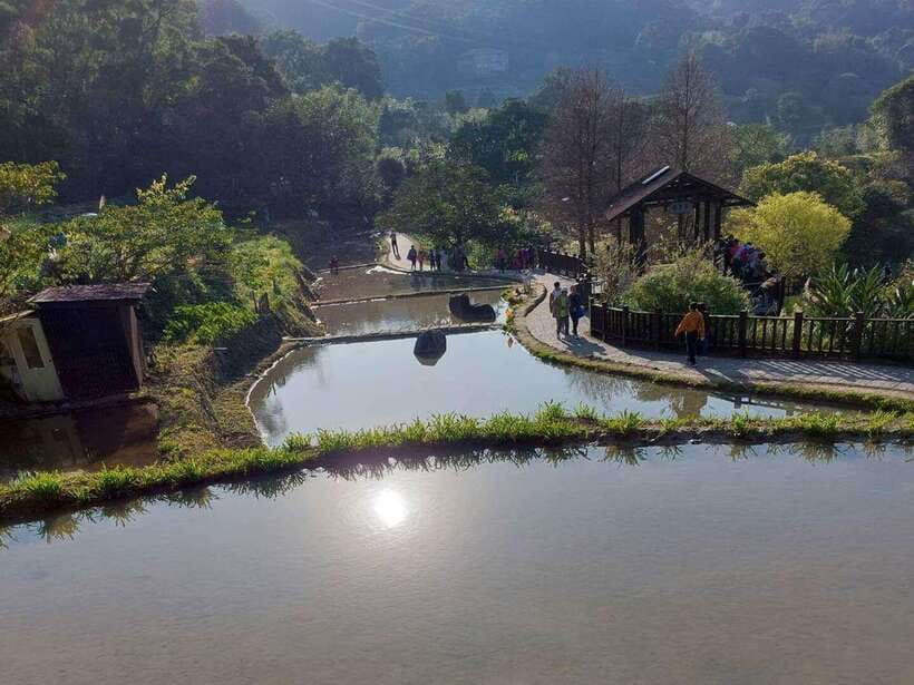 From Taipei: Pinglin Tea Culture and Maokong Guided Day Tour - Pinglin Old Street and the best tea tasting