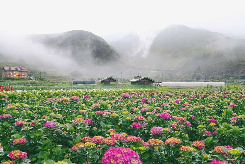 From Taipei: Private Yangmingshan Volcano and Nature Tour - Why Yangmingshan makes a smart half-day escape