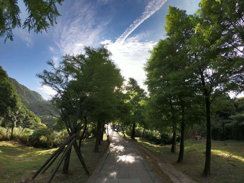 From Taipei: Private Yangmingshan Volcano and Nature Tour - Datun Nature Park and the northern Taiwan view