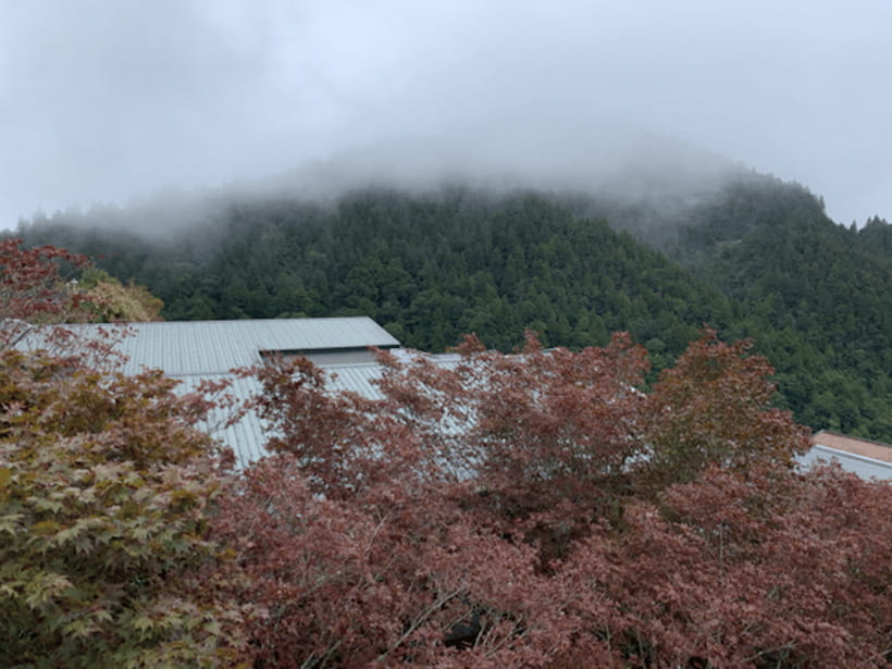 From Taipei: Taipingshan & Jiuzhize Hot Spring Private Tour - Two hours among the trees at Taipingshan
