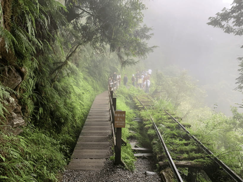 From Taipei: Taipingshan National Forest Private Day Tour - Why Taipingshan makes a worthwhile day from Taipei
