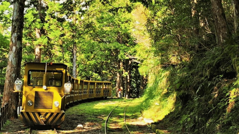 From Taipei: Taipingshan National Forest Private Day Tour - The early pickup and the road into the mountains