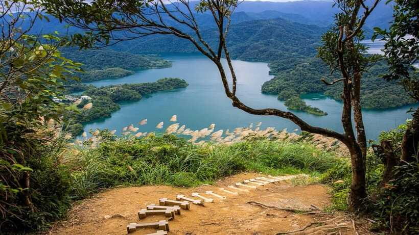 From Taipei: Thousand-Island Lake & Tea Museum Private Tour - Who should book this tea tour?