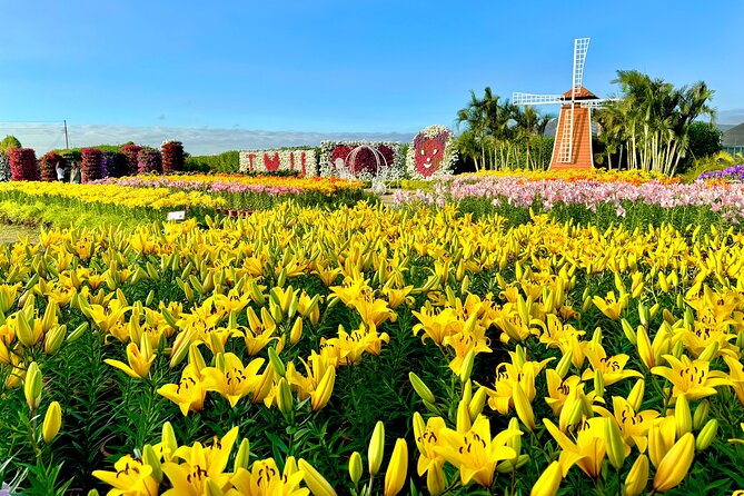 Gaomei Wetlands, Rainbow Village, Miyahara & Zhongshe from Taipei - Leaving Taipei for a full Taichung day