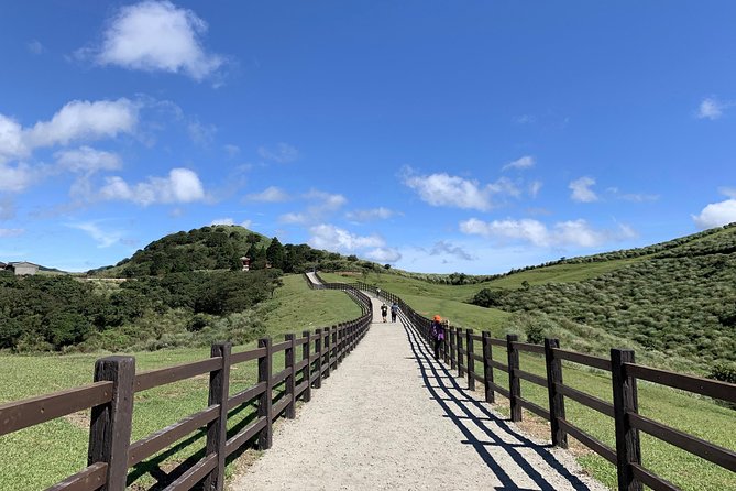 Half Day Private Tour to Yangmingshan National Park and Yehliu Geopark - The guides are a major part of the value