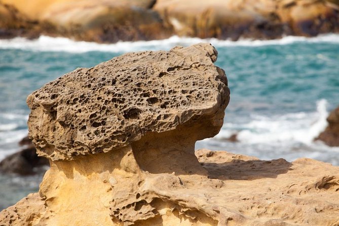 Half Day Private Tour to Yangmingshan National Park and Yehliu Geopark - Weather, clothing, and the pace of the day