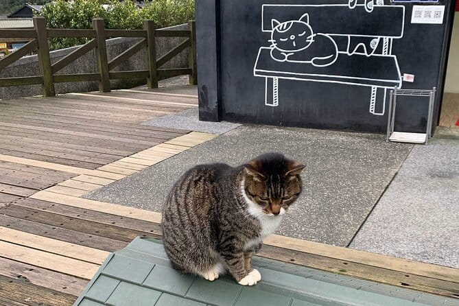 Jiufen, Shifen and Houtong Cat Village Private Tour - Why this private day trip works from Taipei