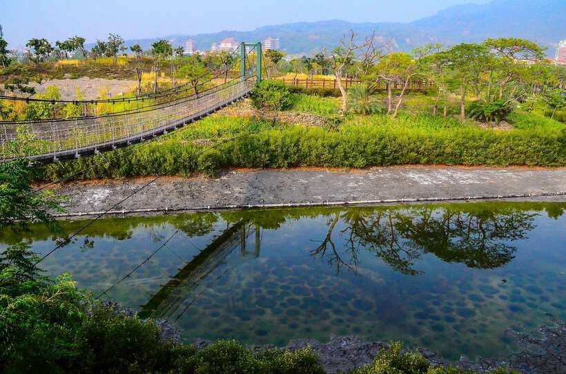 Kaohsiung: Private Walking Tour with a Local - What the itinerary tells you, and what it does not