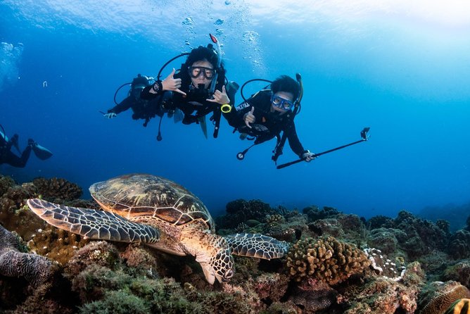 Kenting, Taiwan｜PADI Basic Diving License Course｜Taiwan Diving Open Water Course - Day three: four sessions and certification