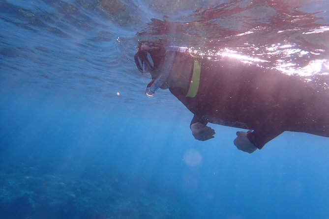 Kenting, Taiwan｜Snorkeling Free underwater photography One-on-one with instructor｜Taiwan Diving Snorkeling - Equipment, insurance, and health requirements
