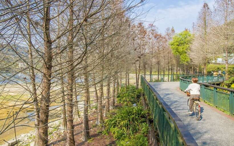 Nantou: Sun Moon Lake Combo - Starting with the Around-Lake Bikeway