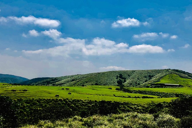 One-day private chartered car tour in Taipei: Yehliu, Jiufen, Pingxi, North Coast popular attractions with chartered car, professional Chinese/English driver - Shifen Waterfall: a short walk to Taiwan’s famous cascade