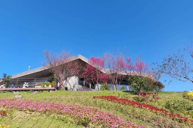 Pinglin Tea Culture & Maokong Day Tour from Taipei - Bagua Tea Garden shows tea where it grows