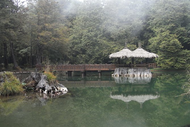 Private 3-Day Tour to Sun Moon Lake and Alishan - The museum day: a change from temples to art