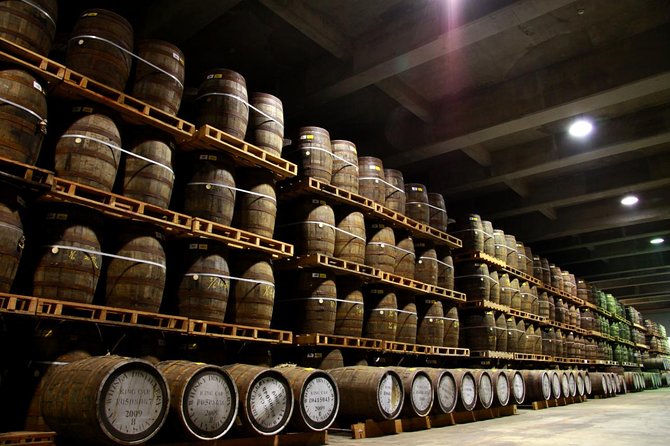 Private Tour to Yilan Kavalan Whisky Distillery - Who should book this Yilan day trip?