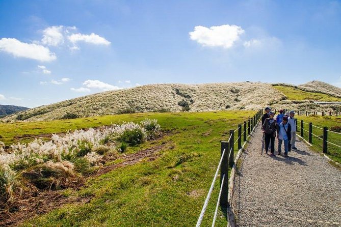 Private Yangmingshan & Beitou Tour from Taipei with Pickup - Xiaoyoukeng shows Yangmingshan’s volcanic character