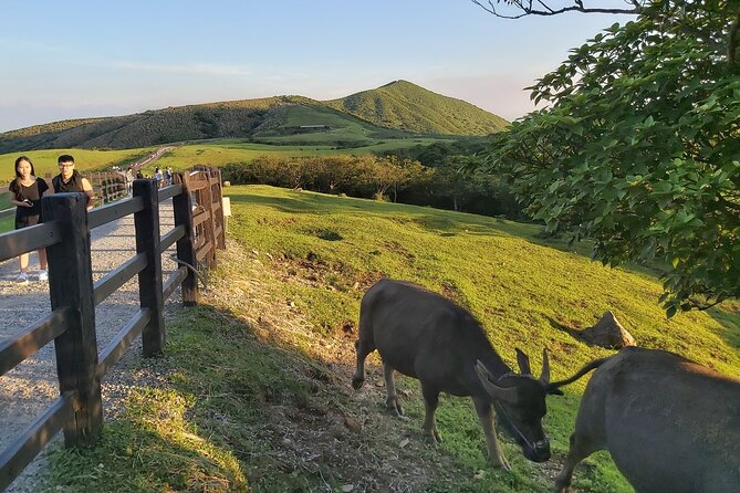 Private Yangmingshan National Park Hiking Day Tour from Taipei - Lengshuikeng and the Slower Side of the Park