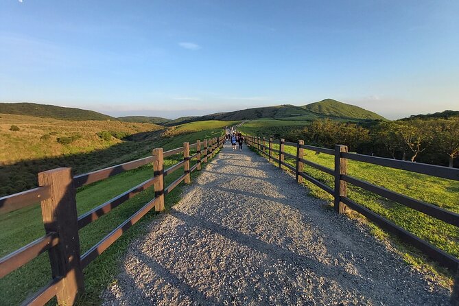 Private Yangmingshan National Park Hiking Day Tour from Taipei - Qingtiangang Grassland: Open Space After the Forest