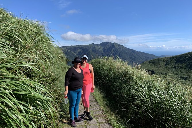 Private Yangmingshan Volcano Tour - Weather, crowds, and how to plan the day