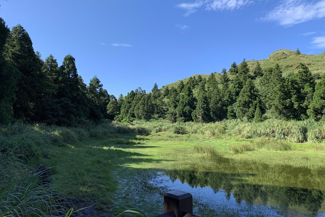 Private Yangmingshan Volcano Tour - Price, transport, and what you receive