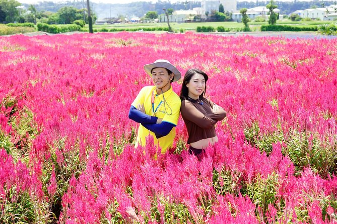 Taichung Must-Visit Join In Day Tour from Taipei - Zhongshe Flower Market: 40 minutes among seasonal color