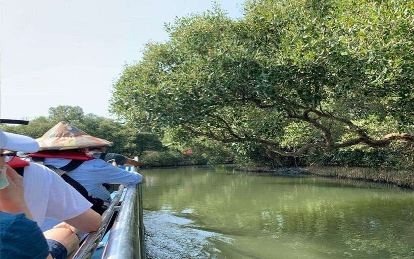 Tainan: Sicao Green Tunnel Scenic Boat Ride - Why this short Tainan cruise is worth your time